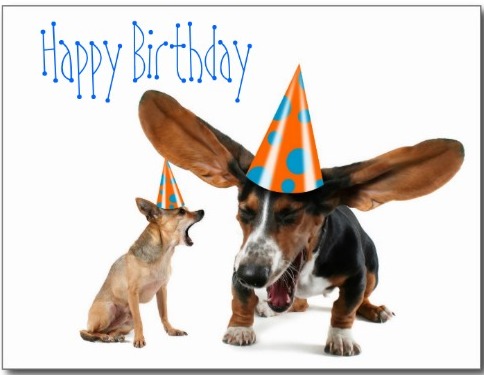 Image result for happy birthday puppies