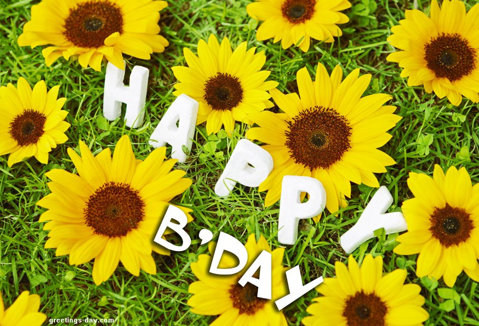 Happy Bday With Sunflowers