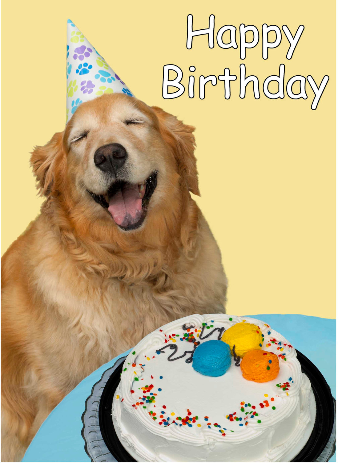Sweet Dog Wishing Happy Birthday