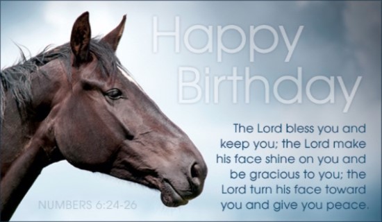 free clip art horse birthday - photo #17