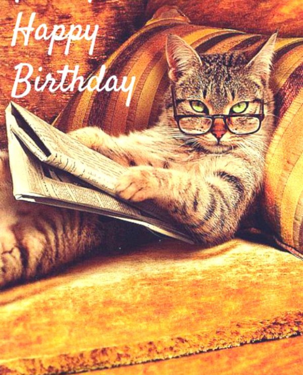 Birthday Wishes With Cats - Page 2