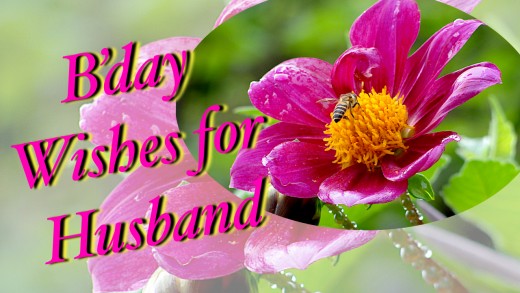 B-Day Wishes For Husband-wb2301