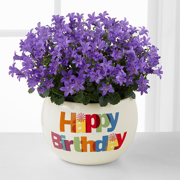 Birthday Wish With Beauiful Purple Flower