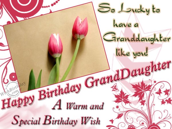 Birthday Wishes For Granddaughter-wb1101
