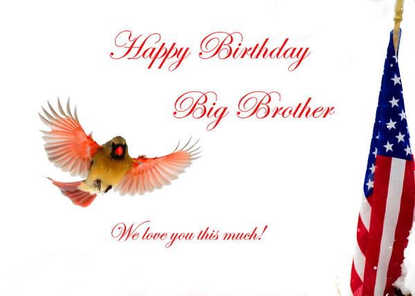 Happy Birthday Big Brother!