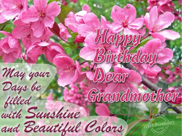 Happy Birthday Dear Grandmother-wb304
