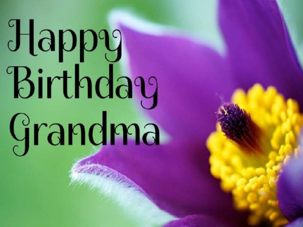 Happy Birthday Grandmom !-wb320