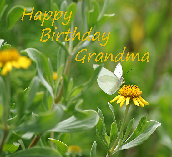 Grandma Happy Birthday !