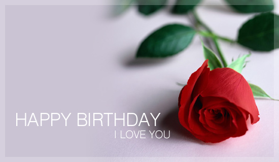 Happy Birthday I Love You-wb2515