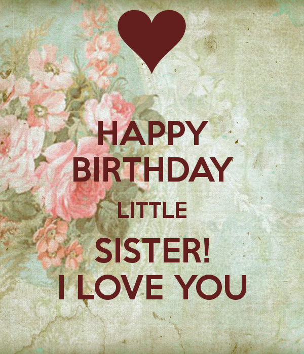 Happy Birthday Little Sister I Love You-wb2710