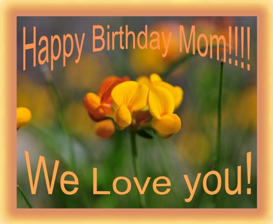 Happy Birthday Mom We All Love You-wb2612