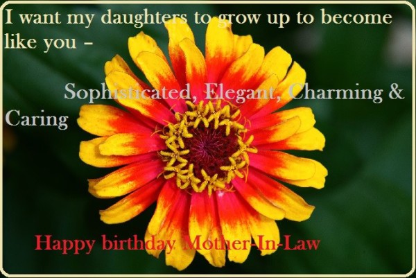 Happy Birthday Mother-In-Law-Picture-wb2917