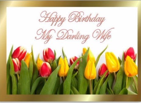 Happy Birthday My Darling Wife -wb2412