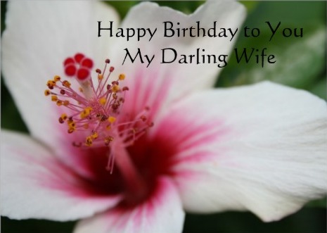 Happy Birthdaya My Darling Wife-wb2404