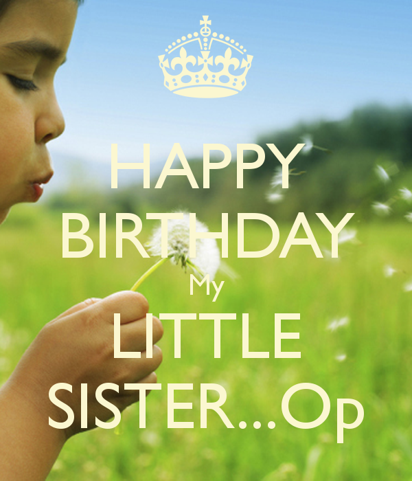 Happy Birthday My Little Sister-wb2711