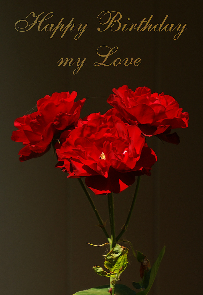 Happy-Birthday My Love With Rose
