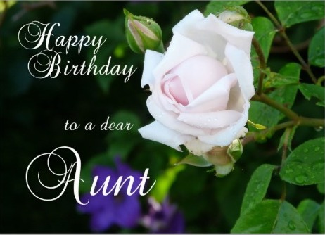 Happy Birthday To Dear Aunt -Picture-wb517