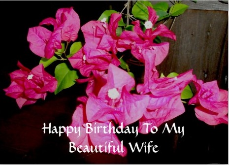 Happy Birthday To My Beautiful Wife-wb2422