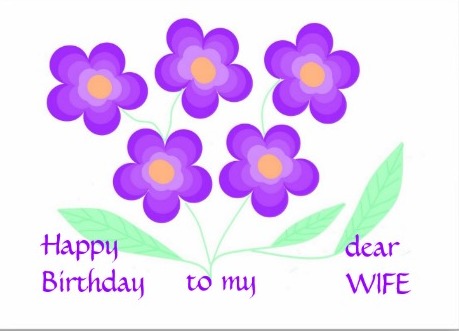 Best Wishes On Birthday To My Wife-wb2423