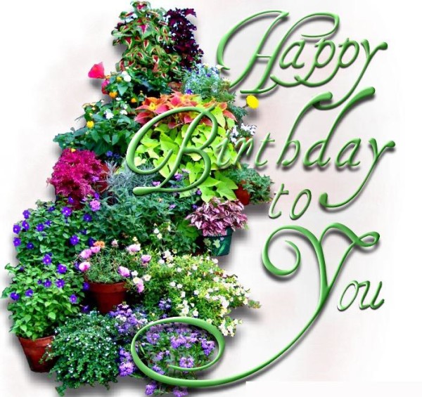 Happy Birthday To You With Beautiful Flowers-wb3217