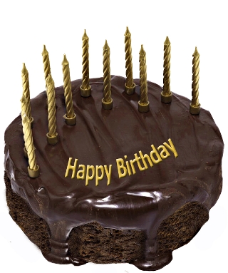 Birthday Wish With Dark Chocolate Cake-wb3028