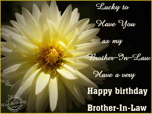 Have A Very Happy Birthday Brother In Law-wb813