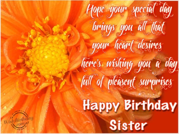 My Lovely Sister Happy Birthday-wb2744