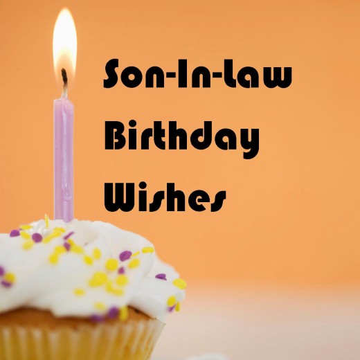 Son In Law Birthday Wishes-wb407