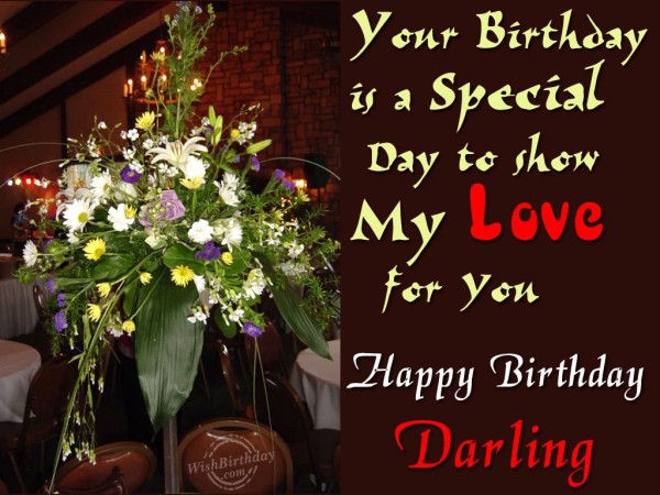 Your Birthday Is Special-wb2347
