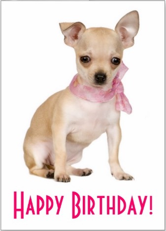 Birthday Wish-Puppy Image