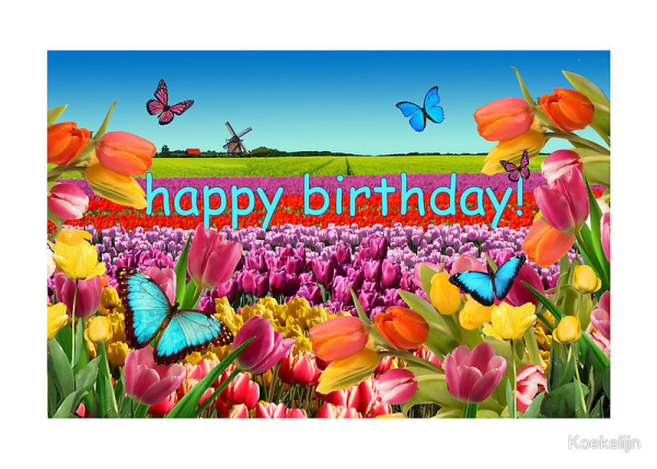 Birthday Wish