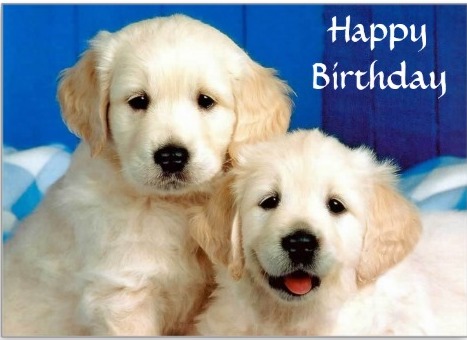 Happy Birthday-Cute Puppies Image