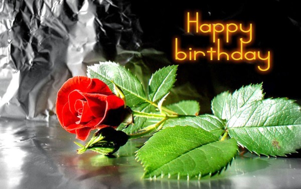 Happy Birthday- Rose Image