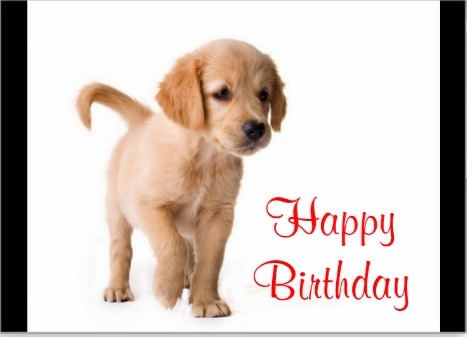 Happy Birthday With Cute Puppy Image