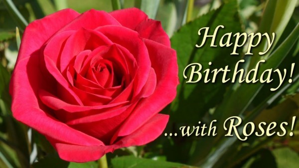Happy Birthday With Roses