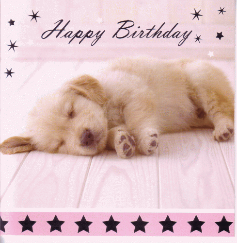 Happy Birthday With Sleeping Puppy