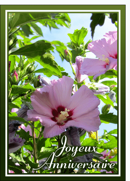 Joyeux Anniversaire With Fresh Flowers