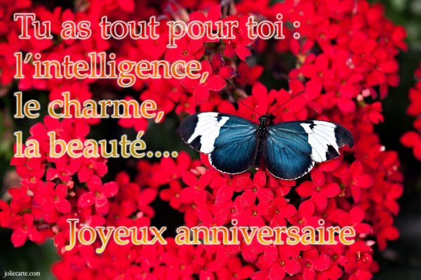 Joyeux Anniversairy-Butterfly Image