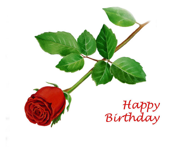 Red Rose For U On Birthday