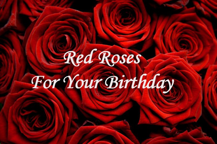 happy birthday red roses hd