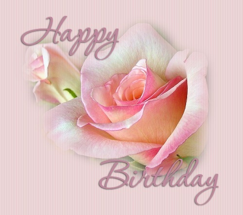 Sending Beautiful Rose On Your Birthday