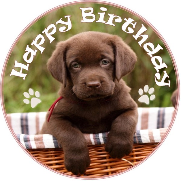 Wish You A Very Happy Birthday  - Puppy Image
