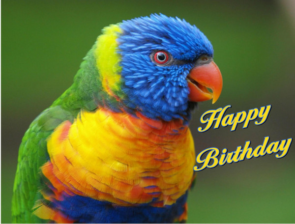 Wishing You Happy Birthday