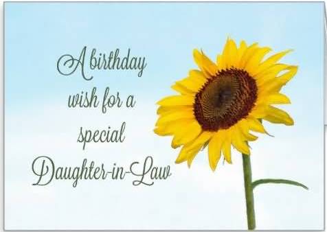 A Birthday Wish For A Special Daughter In Law-wb711