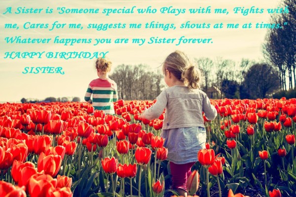 A Sister Is Someone Special-wb0287
