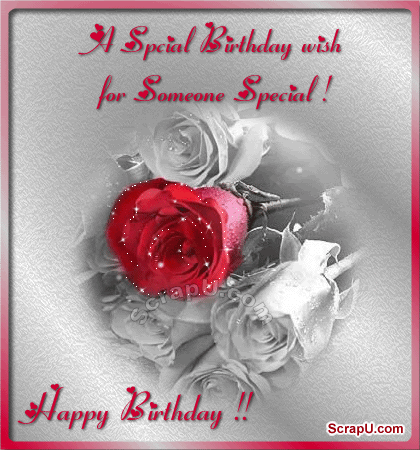 A Special Birthday Wish For Someone Special-wb5602
