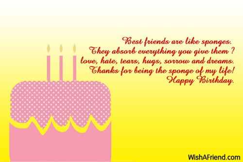Best Friends Are Like Sponges Happy Birthday-w001