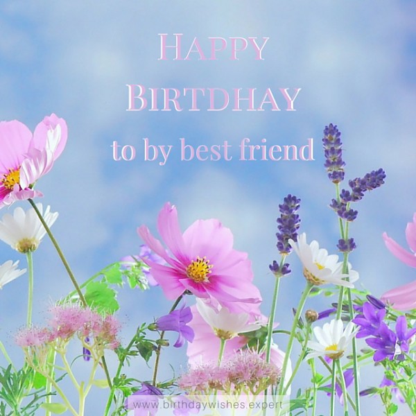 Birthday Wish To My Best Friendwb-8003