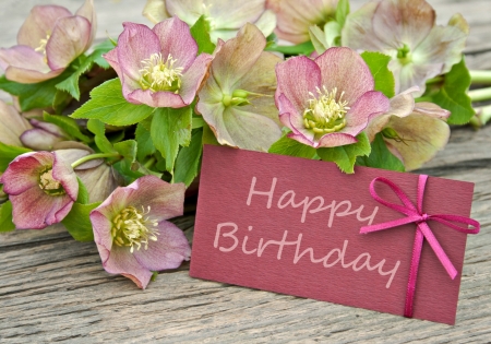 Birthday Wishes For U !!-wb01602