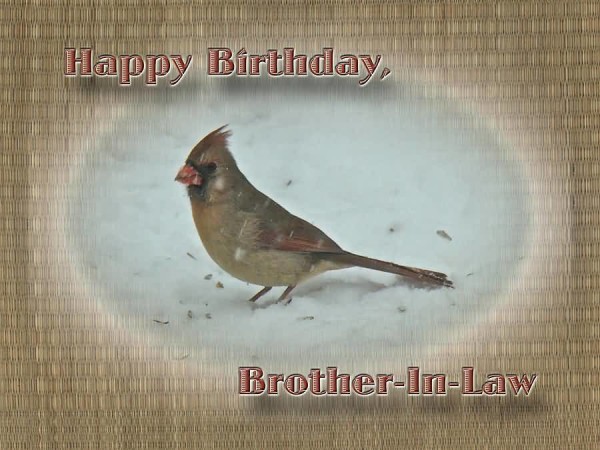 Brother In Law Wish U A Happy Birthday-wb071
